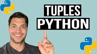 What are Tuples in Python - Beginner Python Tutorials