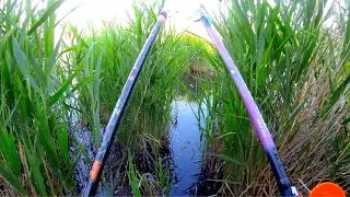 Рибалка в очеретяних джунглях на поплавок🌾🌾💊