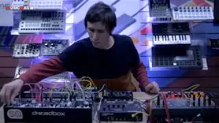 TLFN   Synthesarium Session