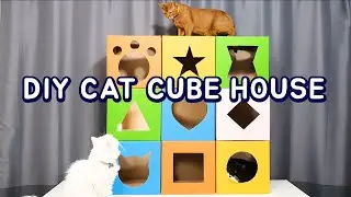 DIY Cat Cube House