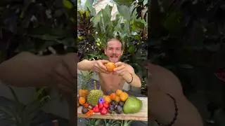 Top 5 Fruits (Bali Edition)