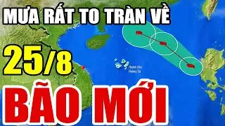 🔴[Trực Tiếp] Dự báo thời tiết hôm nay và ngày mai 25/8/2024 | dự báo thời tiết 3 ngày tới