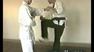 Неожиданный. Мощный удар.