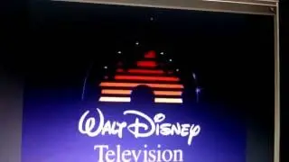 Walt Disney Television/Buena Vista International, Inc. (1985/1995)