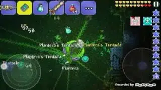 Beat a plantera bulb!