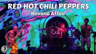 Red Hot Chili Peppers - Havana Affair (Ramones Cover) - Darien Lake, NY 7/12/2024