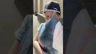 Мечта сбылась 😅