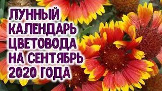 ЛУННЫЙ КАЛЕНДАРЬ ЦВЕТОВОДА НА СЕНТЯБРЬ 2020 ГОДА. АГРОГОРОСКОП для любителей цветов на сентябрь 2020