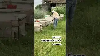 видео от клиента