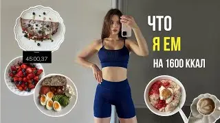 Что я ем за день на 1600 ккал 🥗 готовлю рацион на день за 45 минут | правильное питание