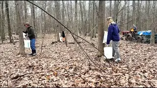 How this family comes together to make maple syrup