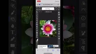 How to Remove a Background in Photopea 2023 on iPhone Free