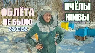 ОБЛЁТА НЕ БЫЛО, ПЧЁЛЫ ВСЁ ЕЩЁ ЖИВЫ!