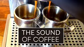 The Sound of Coffee - Brewing Espresso Coffee Sound Effect