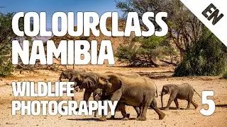 Colourclass Namibia: Episode 5 – The Most Important Tips of Wildlife Photography