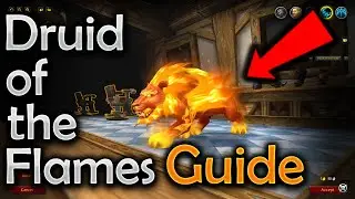 How to Unlock the Druid of the Flames Druid Cat Form - World of Warcraft Shadowlands | Quick Guide