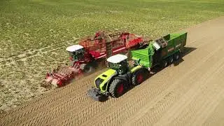 Grimme Rexor 6300 2019