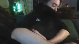 game development - more cat-straction