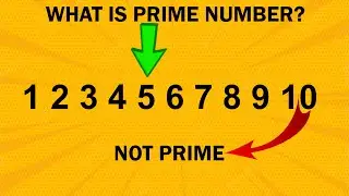 What is Prime Number? | Program to Check a Number is Prime or Not | Tutorial 4You