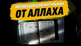 Мотивация для мусульман от Аллаха