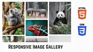 Learn to Create Responsive Image Gallery in 5 Mins using HTML and CSS | Tutorial