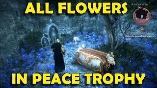 Dragon Age The Veilguard - In Peace Trophy / Achievement Guide (All Flower Locations)