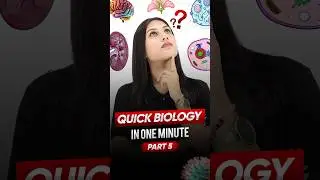 Vacuole - Quick biology🧬 in One Minute⌛ (Part 5) #ytshorts #biology #magnetbrains