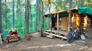 Forest Hut Diaries: 48 Hours of Peace and Adventure