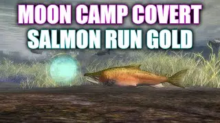 GW2 - Moon Camp Covert Salmon Run: Gold - Lowland Shore Adventure - Guild Wars 2 Janthir Wilds