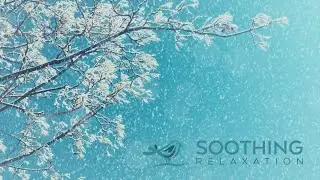 Relaxing Piano Music: Relaxing Music, Spa Music, Yoga Music, Soothing Sleep Music ★119