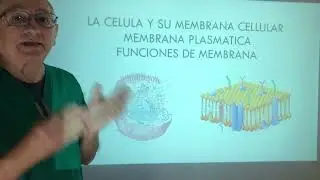 Membrana Celular Fisiología molecular. Mecanismos de membrana. GPT control
