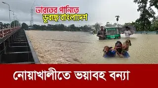 নোয়াখলীতে ভয়াবহ বন্যা !! ভারতের পানিতে ডুবছে গোটা বাংলাদেশ !! Flood in Noakhali