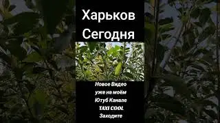 Харько. Сегодня как обстановка #харьков #харків #харьковскаяобласть #харьковобстановка #украина