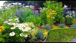 New Day and New Blooms in the Garden | Perennial Garden Tour #garden #gardening #new #flowers