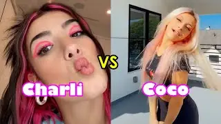 Charli D'Amelio vs Coco Quinn ✨🌠 Tik Tok Dance Compilation