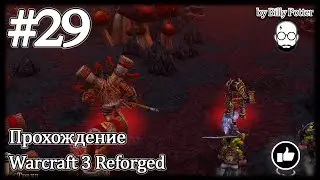Оракул #29 | Warcraft 3: Reforged