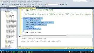 SQL PRIMARY KEY Constraint