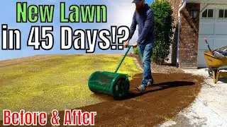 How to Plant a New Lawn with 4 Easy Steps!!!