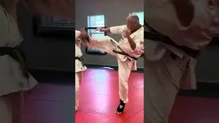 Kyokushin Karate Elite Black Belt Sparring #karate #short #shorts #shortvideo