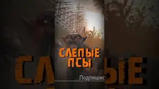 S.T.A.L.K.E.R - Слепые псы. Мутанты. Рассказчик Сидорович