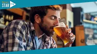 Drinking beer could boost your gut health, new study suggests