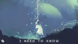 Lexdez, Arch & Wolfpup - I Need To Know (Lyrics)