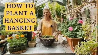 How to plant a hanging basket