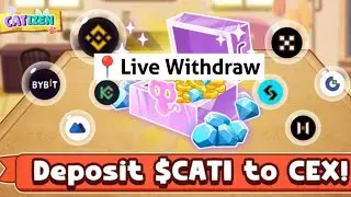 Catizen Live withdraw || guide + prediction || all update video #catizenairdrop #catizen #telegram