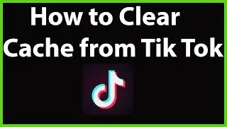 How to Clear Cache from Tik Tok App?