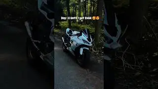 DAY : 8 UNTIL I GET ZX6R ❤ ❤#bikelife #sportbike#trendingnow #bike #adicted #ytshorts #moto #rider