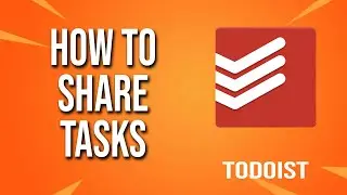 How To Share Tasks Todoist Tutorial