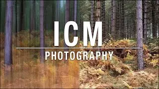 ICM Photography Tutorial – Intentional Camera Movement