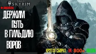 THE ELDER SCROLLS : SKYRIM | СБОРКА 800+ МОДОВ | ПУТЬ В ГИЛЬДИЮ ВОРОВ | GADZILA | #4