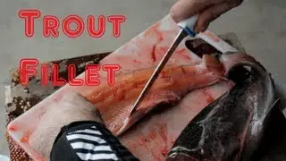 How to Fillet and Debone a Rainbow Trout